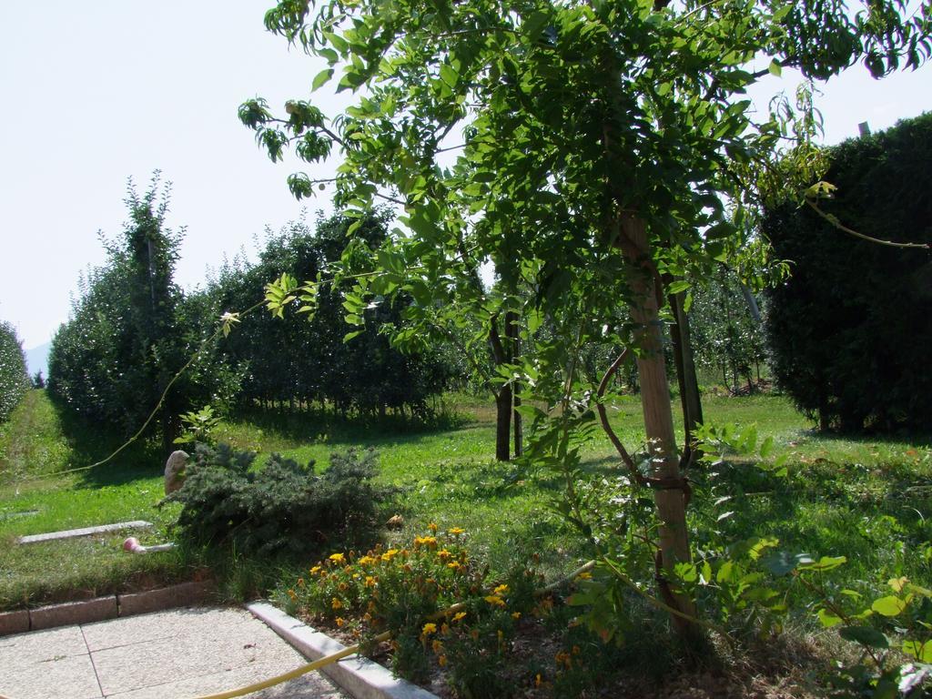Agritur Fior Di Melo Nanno Exterior foto